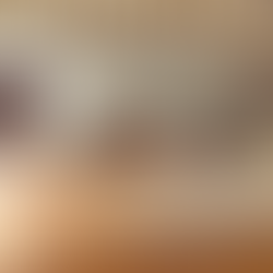 Elm Coffee Roasters Cafe In Pioneer Square Seattle Washington Review In The Great Wide Thirsty Thursdays Travel Blog