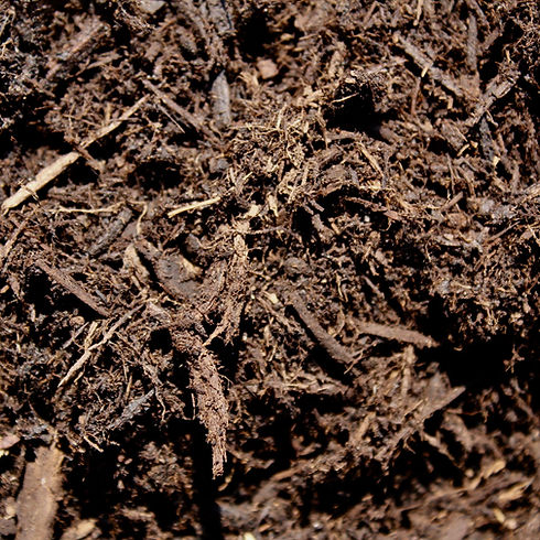 Dark Mulch
