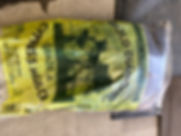 image1.jpeg