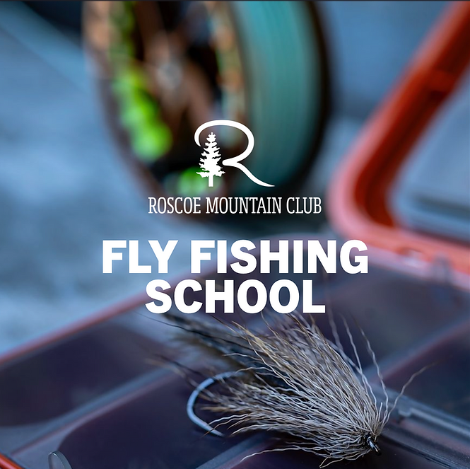 Screenshot 2026-02-15 at 9.24.32 PM.png