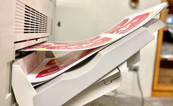 IMG_4575%20copy_edited