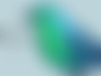 Dream: Blue and green bird in my room O: