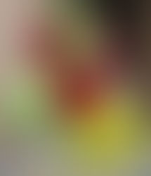 Hoa tươi cho cuộc sống