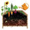 Thumbnail: Composting Worms