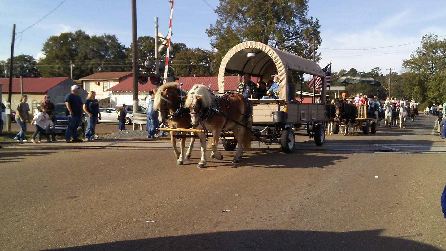 Bloomburg GOCASSCOUNTY