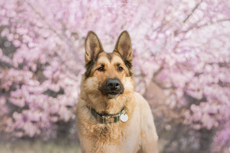 Mon évolution en tant que photographe