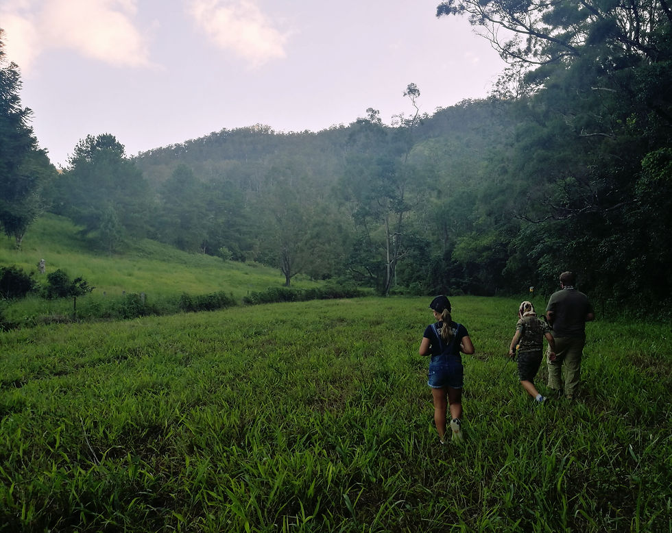 Kids need camping for growth, resilience and confidence, especially kids with Autism