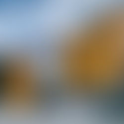 Mo 26.Mai 2025 - Marathon Training beginnt ...