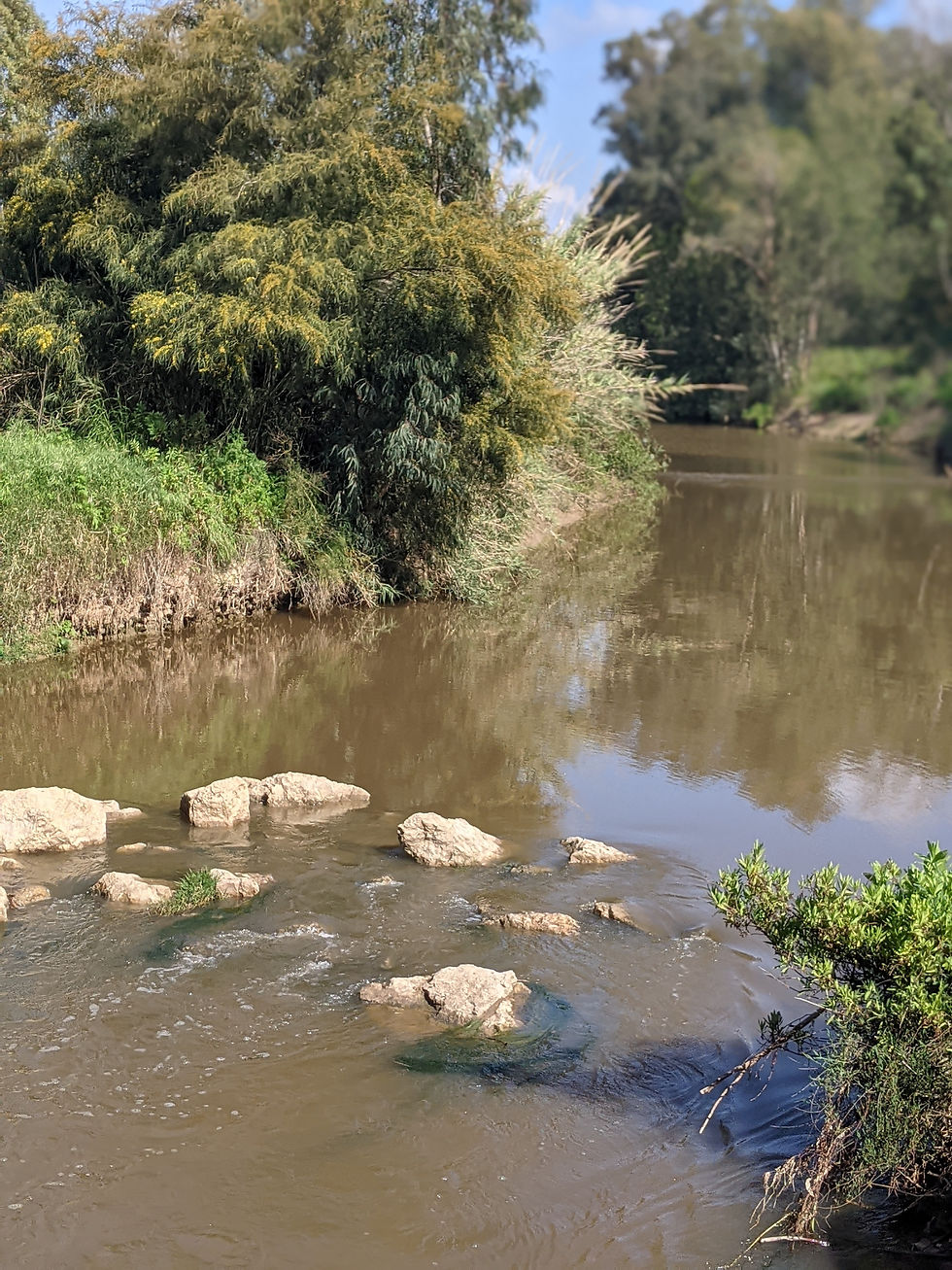 גני הנדיב לעבר מין צור וחורבת עלק