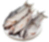 Tully Fish
