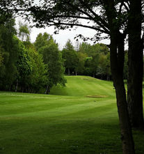 Green golf course with trees and rolling hills