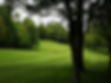 Golf course fairway with trees