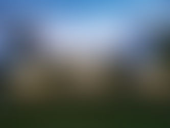 THE ART OF EVOLUTION