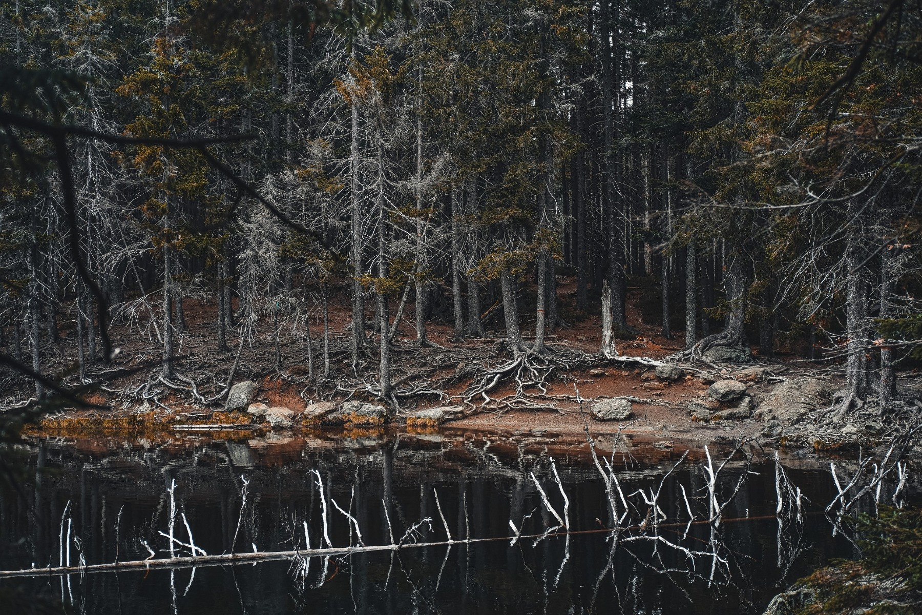 Čertovo jezero - Šumava