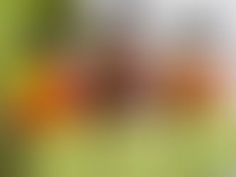 Sladké předplatné