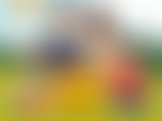 Předplatné hraček