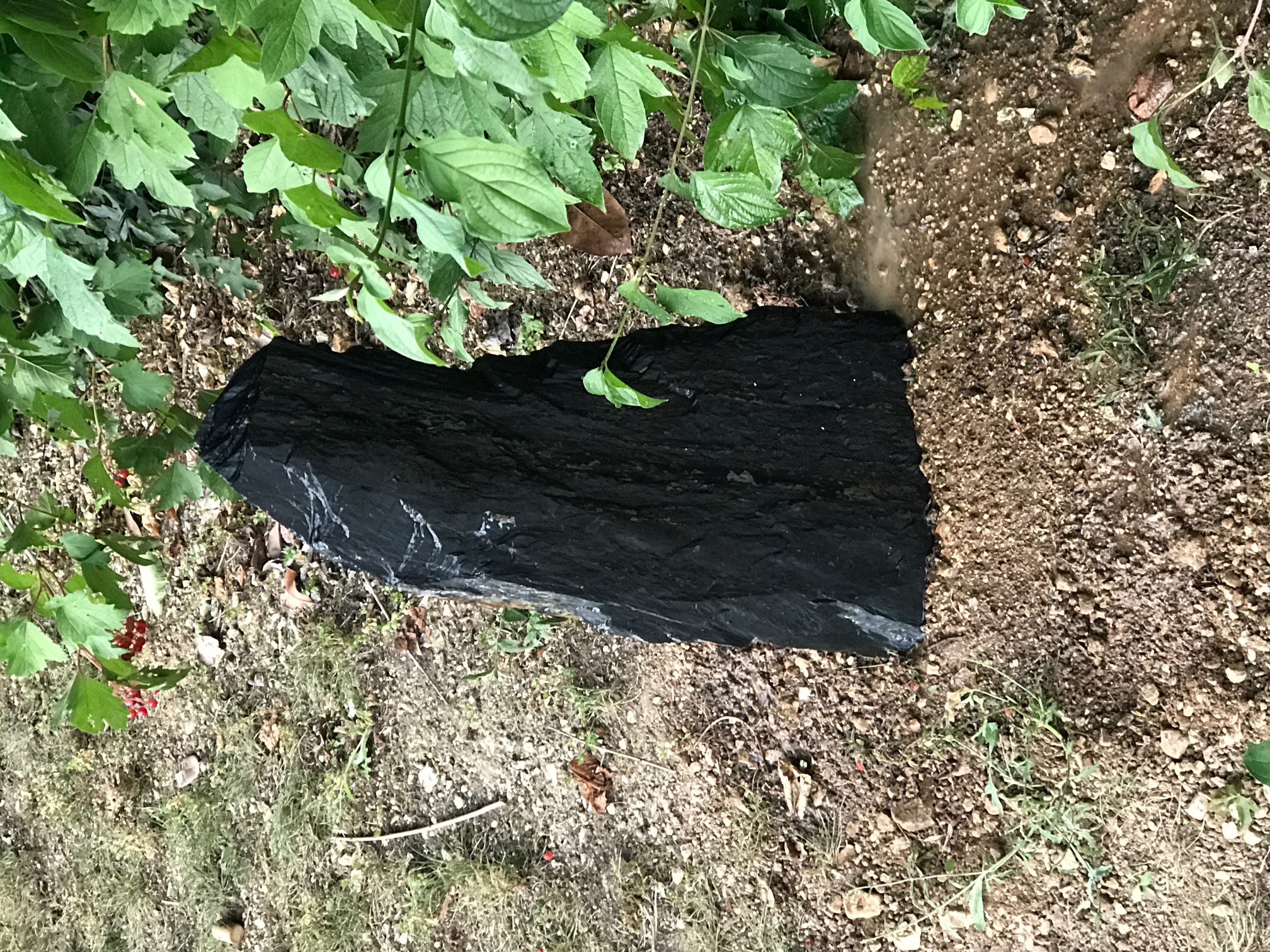 Exploitation agricole - Landes (17)