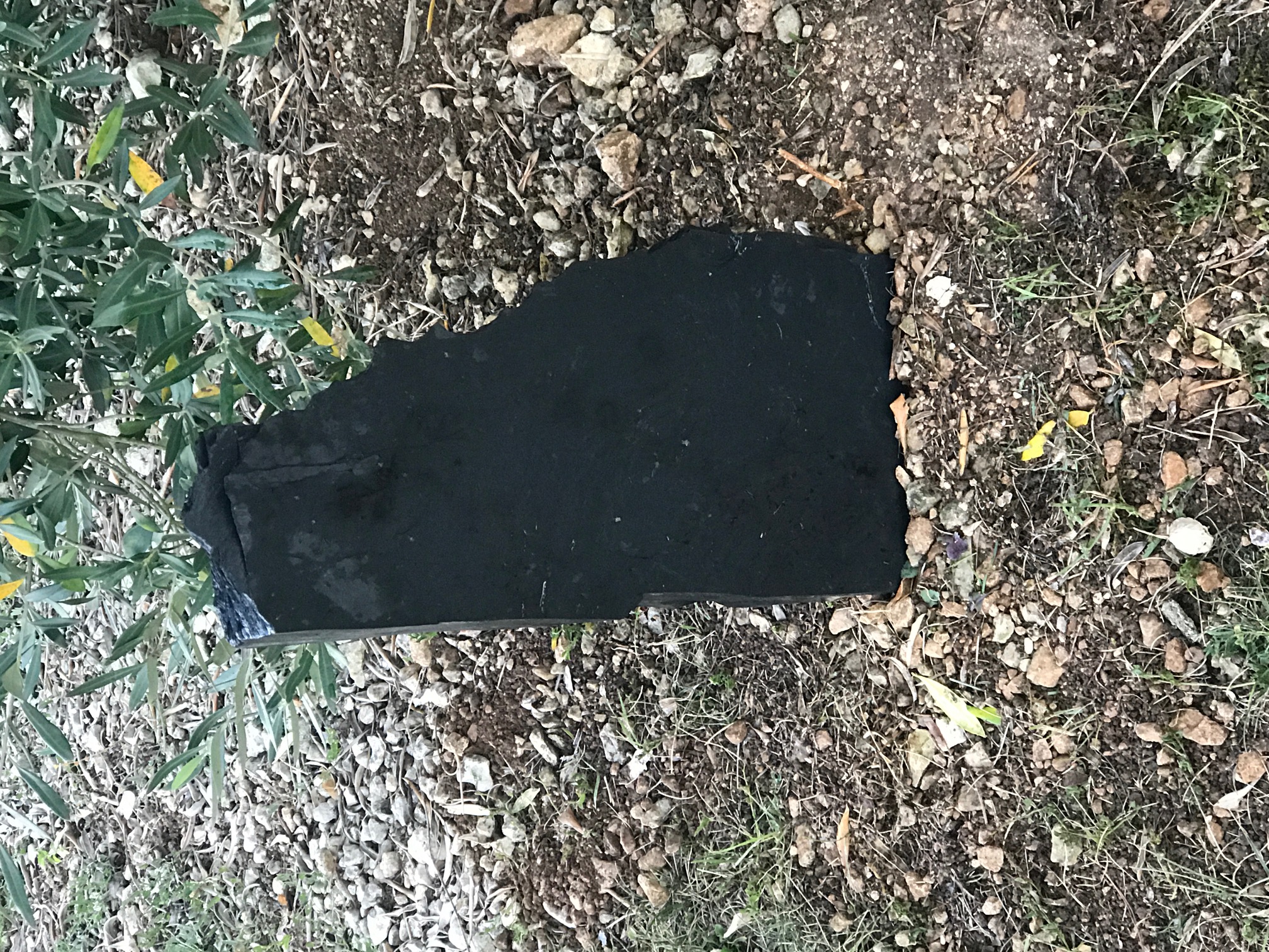 Exploitation agricole - Landes (17)