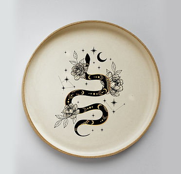 pexels-monstera-6373843 copy.jpg