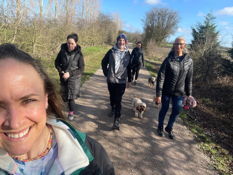 IMMERSE WALK SOCIAL - World Peace Cafe