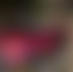 Tintas Darka é Destaque entre as Lojas do Brasil: Inovação, Inclusão e Atitude Fora da Caixa