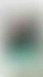 PPM - Eduardo Gama Pintor Profissional da Manacapuru Amazonas - Ganhador do Prêmio Nacional do Mês - PPM Novembro 2025 - Cesinha Mago do Verniz Jorge Cesar Lopini