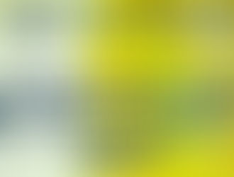 Curso de Especialização Pintor de Obras - Raio-X da Pintura (ABRAPP Associação Brasileira dos Pintores Profissionais)