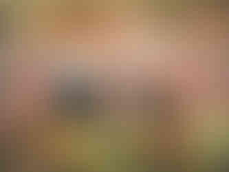 Futura Tintas Promove Fórum de Educação em São Paulo e Nossa Associação ABRAPP Parabeniza Esse Grande Evento Nacional Para Pintores