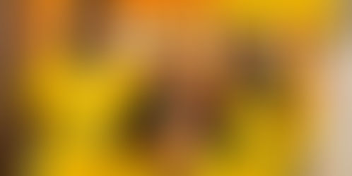 Pintores ABRAPP de Conceição do Coité (BA) fazem visita à fábrica da Festcor em parceria com a loja Feira Tintas