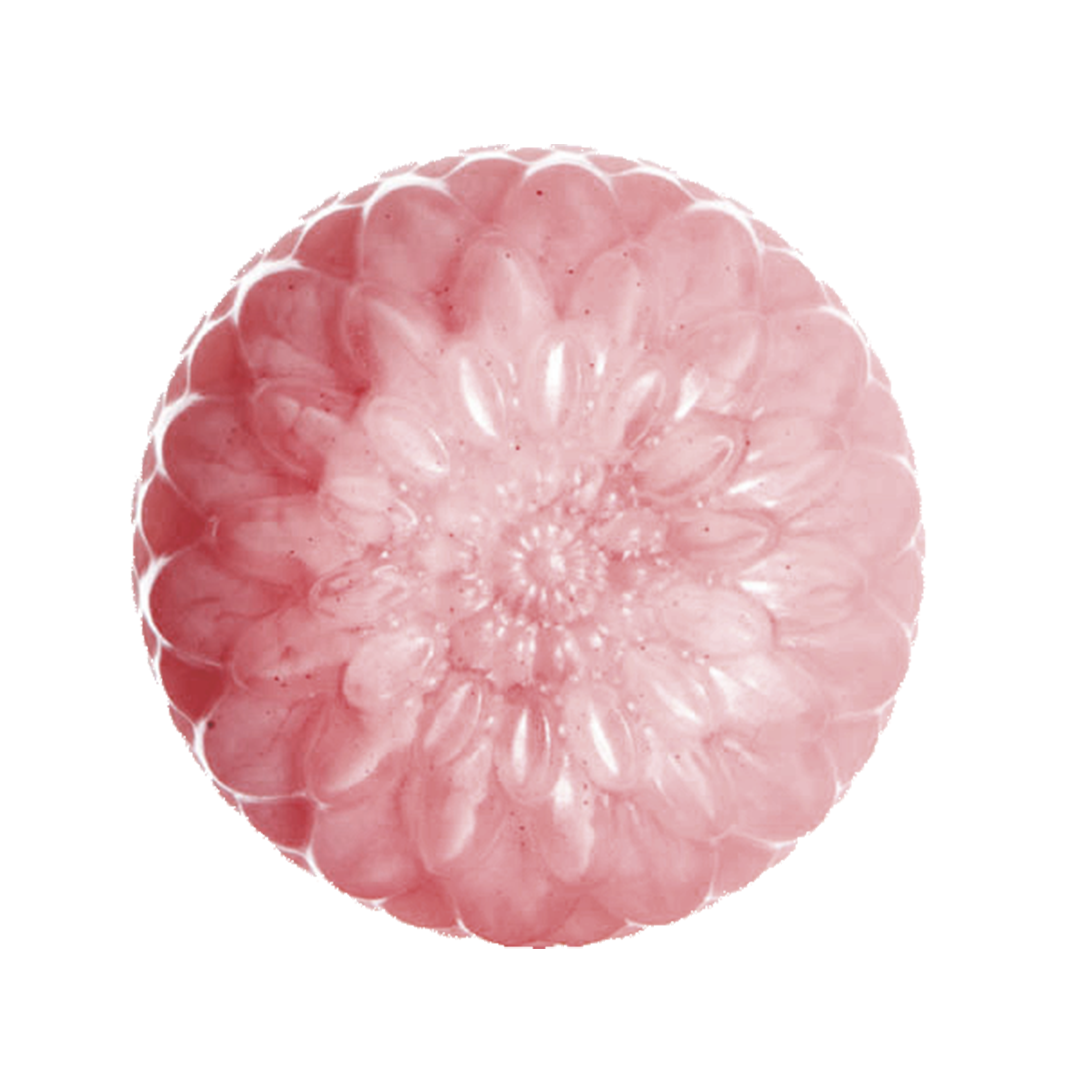 手作りせっけん謹製香遠(P)｜キャビアせっけん