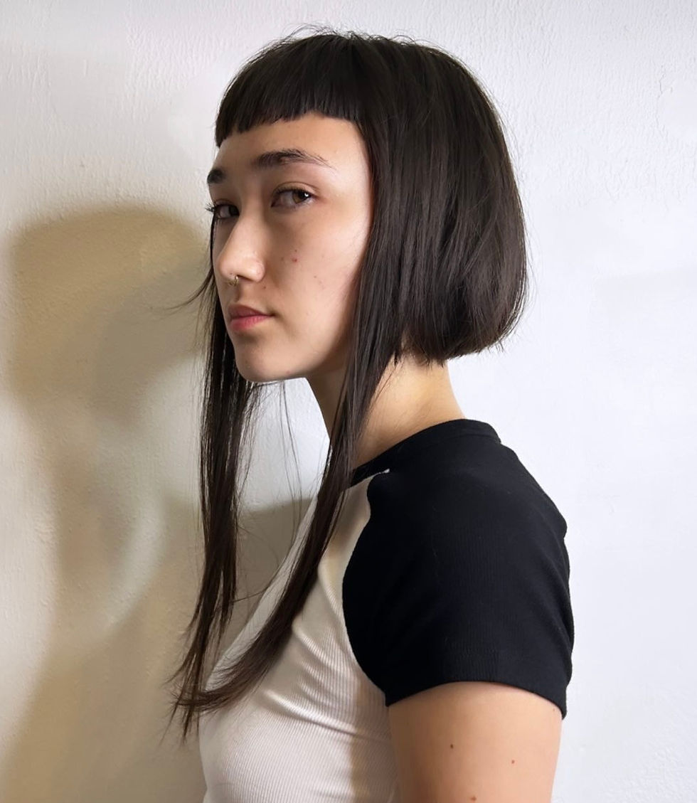 the ridiculous haircut