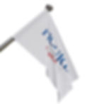 Thumbnail: Figures For Congress Flag