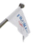 Thumbnail: Figures For Congress Flag