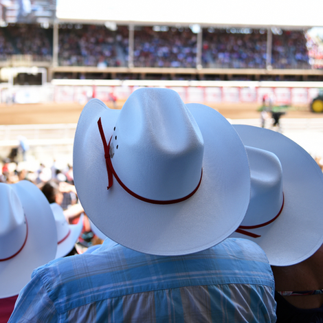 Rodeo Safety: Protecting Athletes in High-Intensity Sports