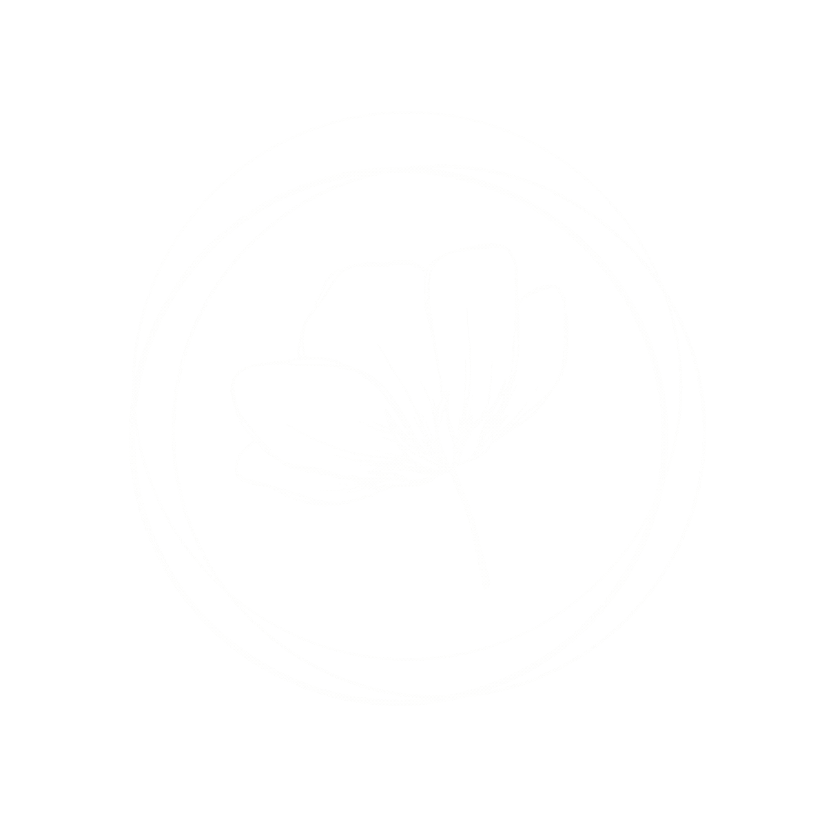 Noémie Serre Kinésiologue