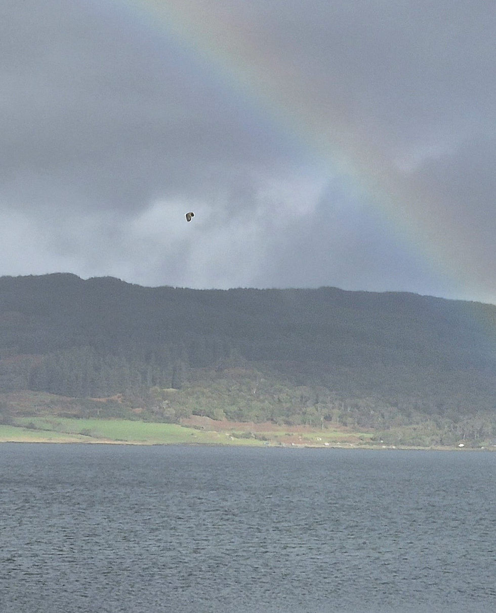 Eagles and Rainbows