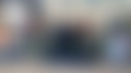 50 Christbaumbäume für Bedürftige 