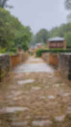 Camino de Santiago