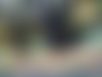 What is a Shaded Fuel break and Why is it Important ?