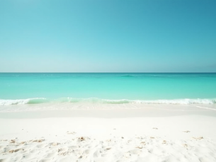 Discover Why Vacationers Return to Panama City Beach and Celadon Beach Resort Unit 1002