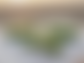 Buying Natural Soap Online: Where to Find Quality and Luxury