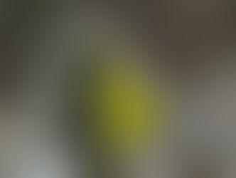 TERRENO EN SIERRA ALTA - R. DE LAS AVES