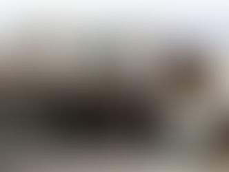  CASA EN LA JOYA CALANDRIA