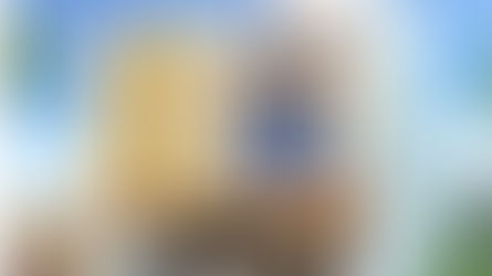 CASA EN DOMINIO CUMBRES SANTORAL II