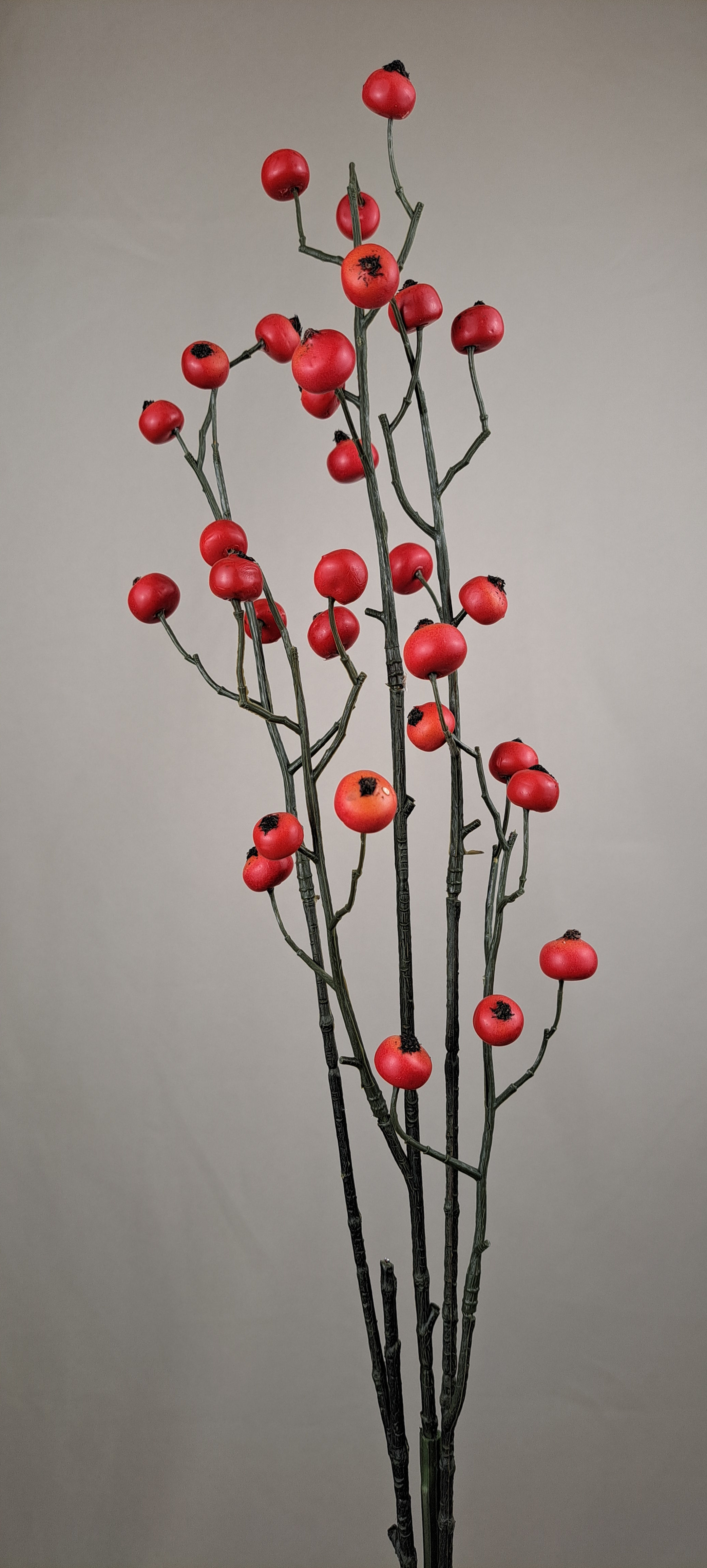 Ilex Bes Rood