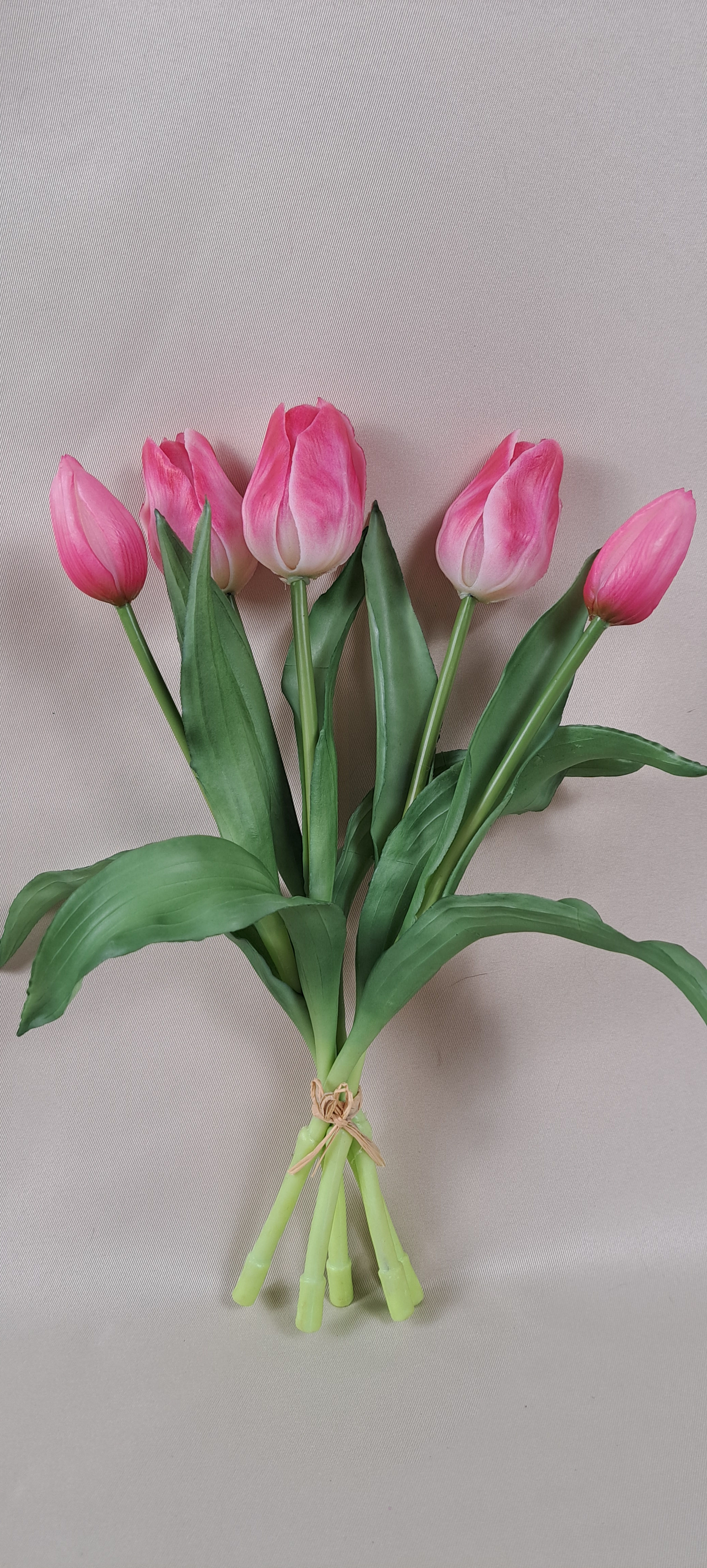 Tulipa Donker Roze