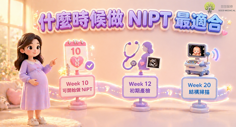 懷孕幾週做 NIPT 最適合時間線圖，Week 10 可開始做無創產前檢測，Week 12 初期產檢，Week 20 結構掃描
