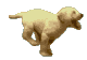 ylwpuprun.gif