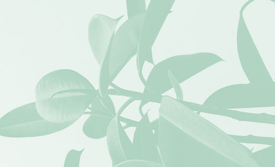 Peaceful Life Organizing Solutions