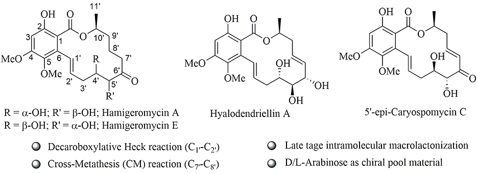 Hamige A-E.tif